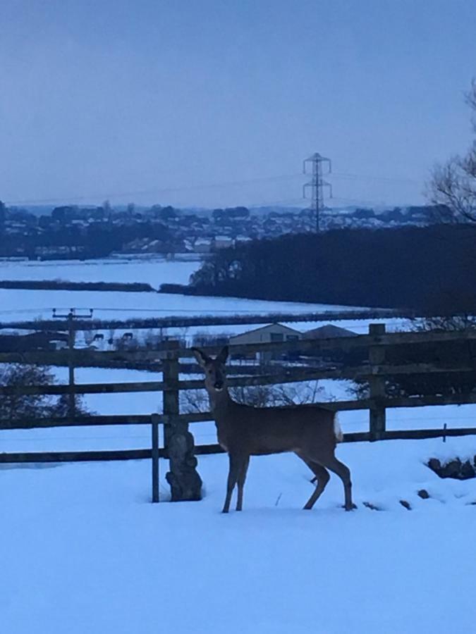 Appartamento Tanglewood West Ashton Esterno foto